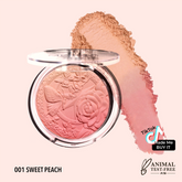 Rubor Ombre característico